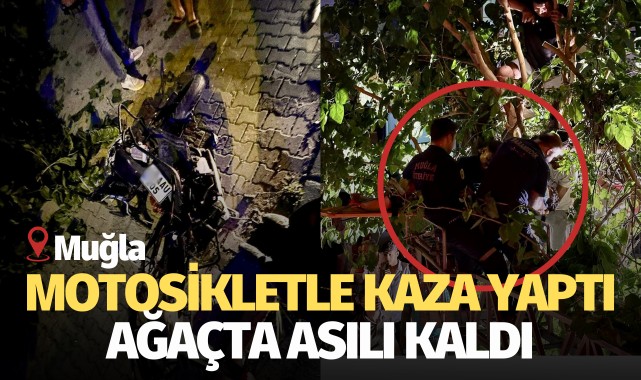 Motosikletle kaza yaptı, ağaçta asılı kaldı!