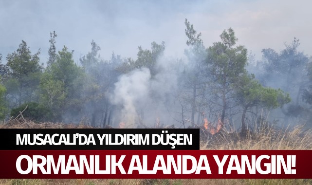 Musacalı'da yıldırım düşen ormanlık alanda yangın çıktı
