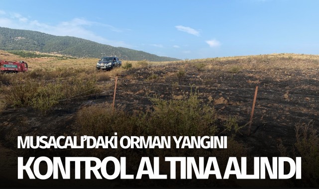 Musacalı'daki orman yangını kontrol altında