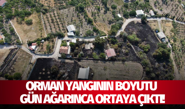 Orman yangının boyutu gün ağarınca ortaya çıktı!