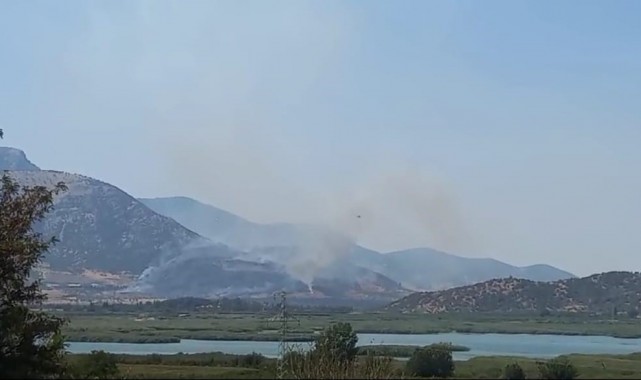 Selçuk'taki orman yangını kontrol altında