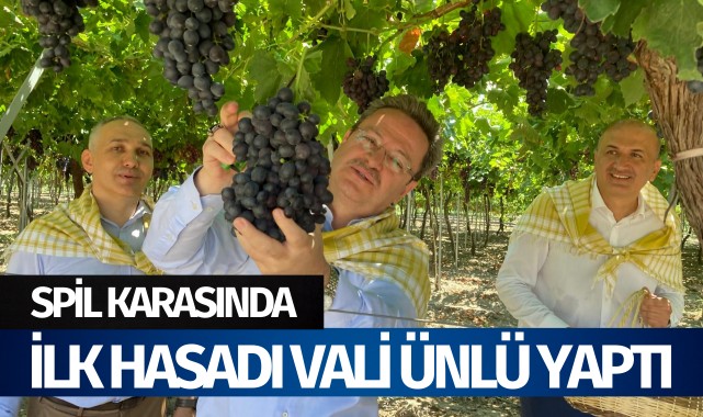 Spil karasında ilk hasatı Vali Ünlü yaptı