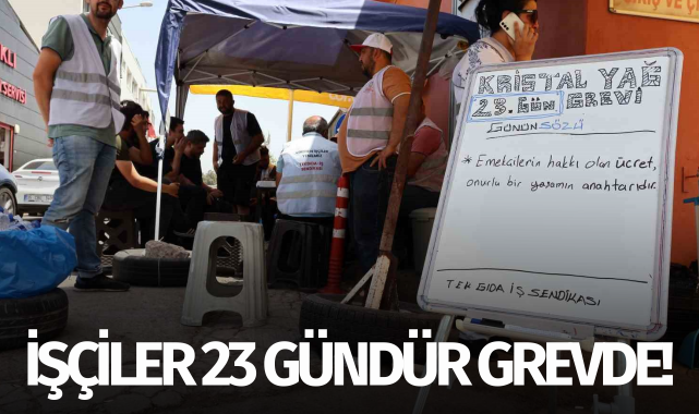 Zeytinyağı fabrikası işçileri 23 gündür grevde