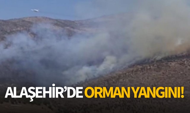 Alaşehir'de orman yangını!