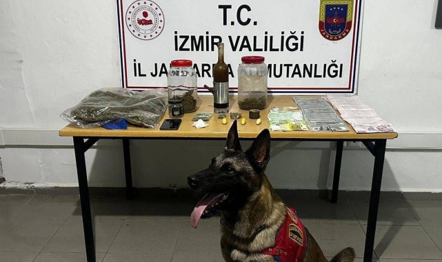 Jandarmadan zehir tacirine şafak operasyonu