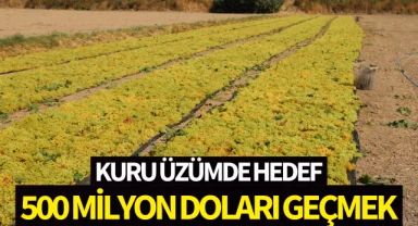 Kuru üzümde hedef 500 milyon doları geçmek