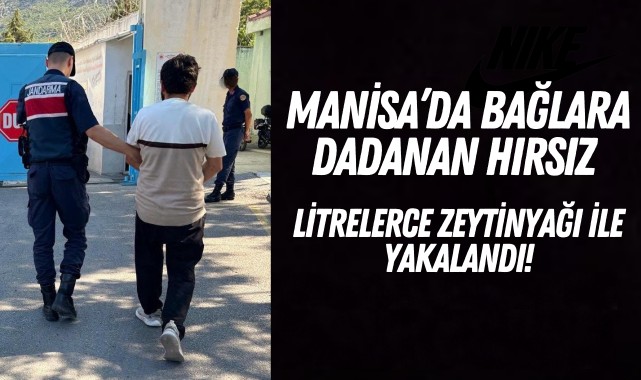 Manisa’da bağlara dadanan hırsız litrelerce zeytinyağı ile yakalandı!