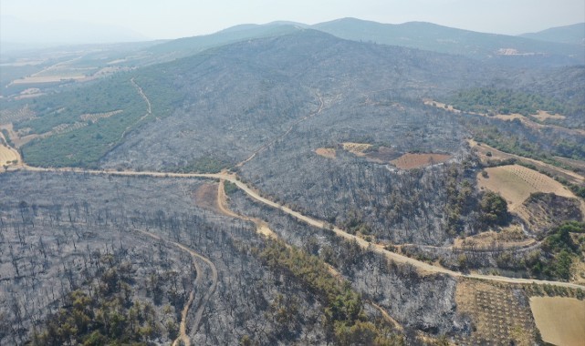 Manisa'da yanan alanlar havadan görüntülendi