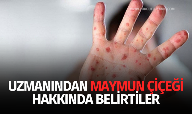 Uzmanından 'Maymun Çiçeği' hakkında belirtiler