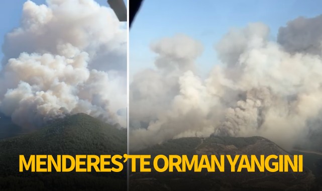 Menderes’te orman yangını