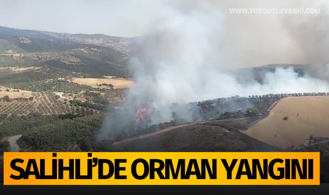 Salihli'de orman yangını