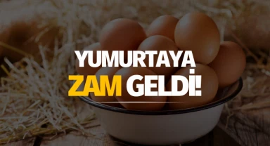 Yumurtaya zam geldi!