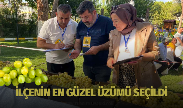 İlçenin en güzel üzümü seçildi