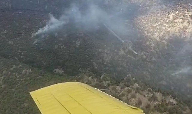 Manisa'daki orman yangınına müdahale devam ediyor