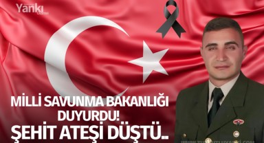 Milli Savunma Bakanlığı duyurdu! Şehit ateşi düştü..