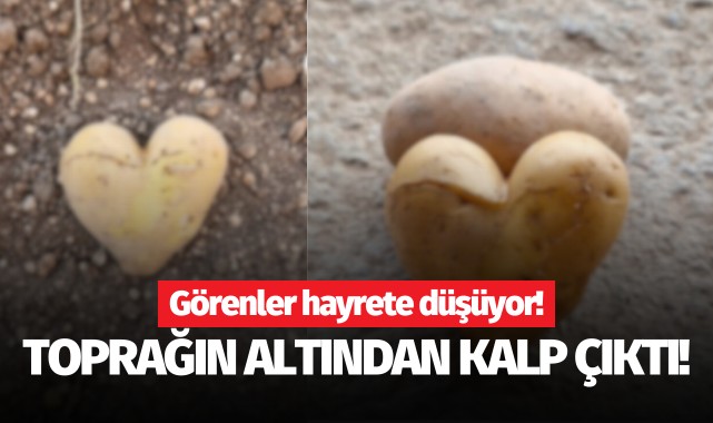 Toprağın altından kalp çıktı!