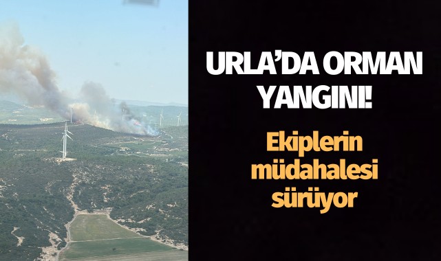 Urla'da orman yangını!