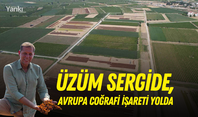 Üzüm sergide, Avrupa Coğrafi İşareti yolda