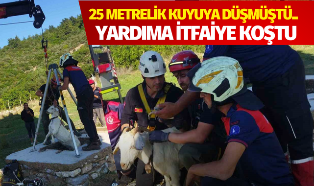 25 metrelik kuyuya düşmüştü.. İtfaiye yardımına koştu