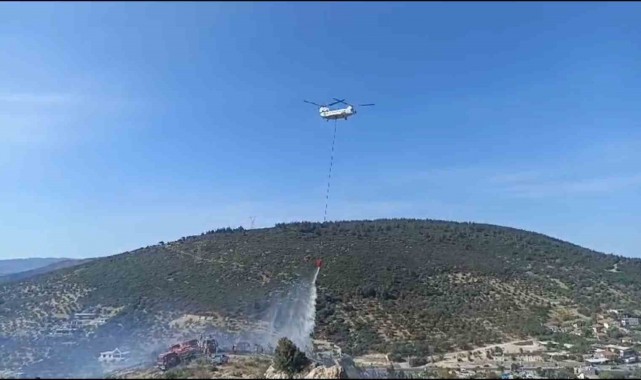 Foça'da bir depoda başlayan ve ormanlık alana sıçrayan yangın söndürüldü