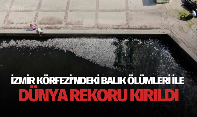 İzmir Körfezi'ndeki balık ölümleri ile dünya rekoru kırıldı