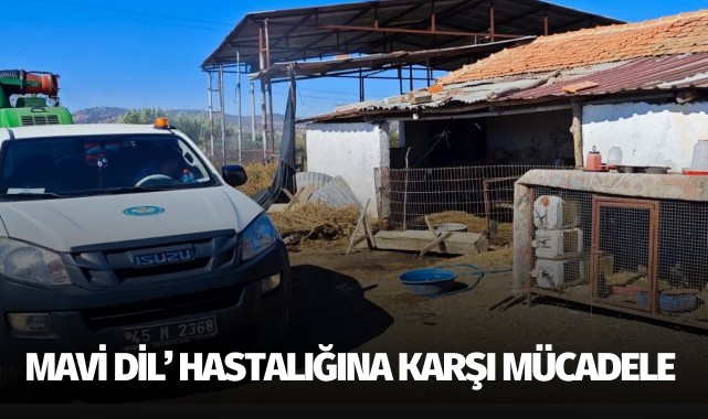 Manisa'da ‘Mavi Dil’ Hastalığına Karşı Mücadele
