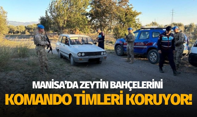 Manisa’da zeytin bahçelerini komando timleri koruyor!