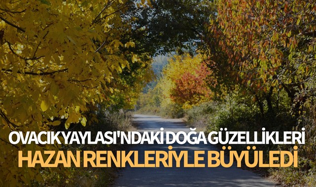 Ovacık Yaylası'ndaki doğa güzellikleri hazan renkleriyle görüntülendi