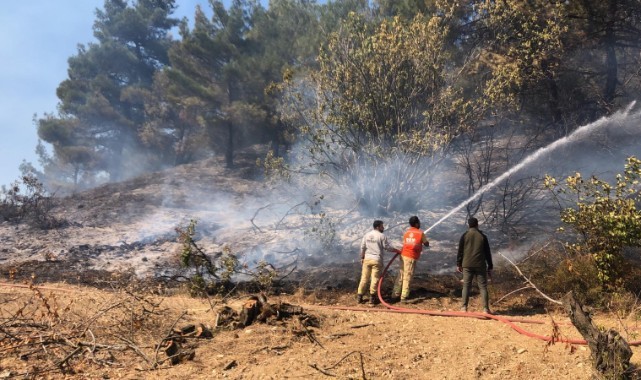 Turgutlu'da orman yangını! Büyümeden kontrol altına alındı