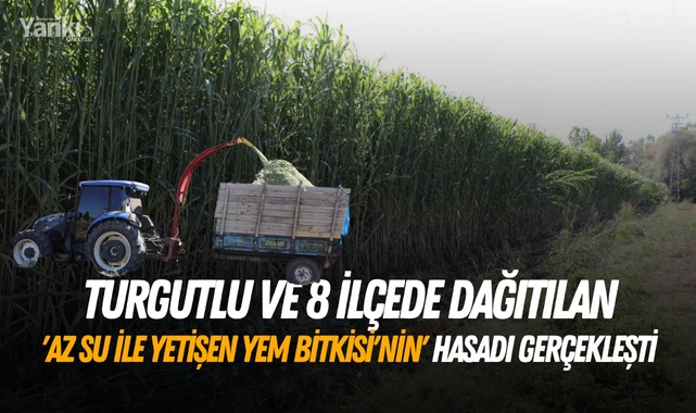 Turgutlu ve 8 ilçede dağıtılan 'Az Su İle Yetişen Yem Bitkisinin' hasadı gerçekleşti