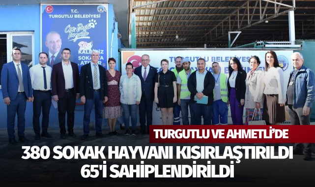 Turgutlu ve Ahmetli'de 380 sokak hayvanı kısırlaştırıldı, 65'i sahiplendirildi