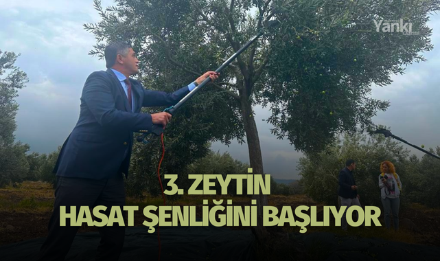 3. Zeytin Hasat Şenliğinde başlıyor