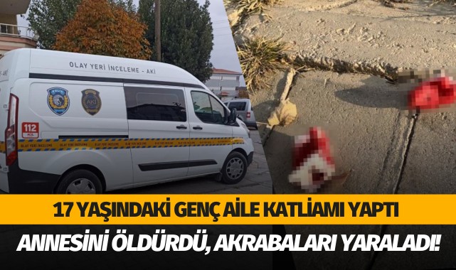 Cinnet geçiren genç annesini öldürdü, 4 kişiyi yaraladı!