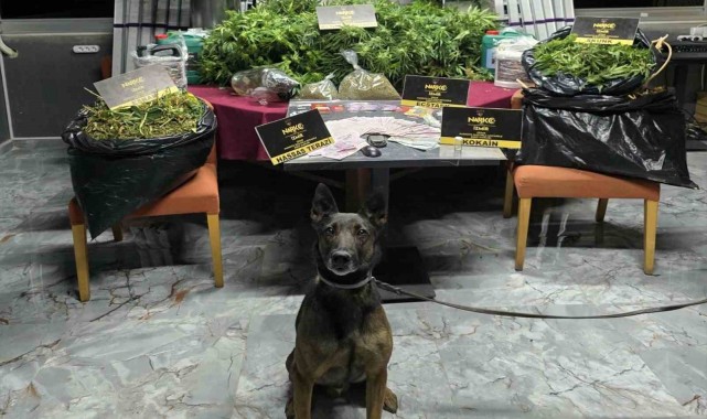 İzmir'de zehir tacirlerine 'Rex'li baskın: 1 tutuklama