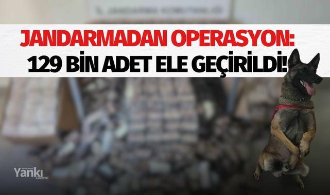 Jandarmadan operasyon: 129 bin adet ele geçirildi!