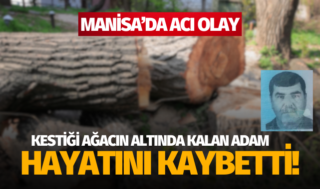 Manisa'da acı olay: Kestiği ağacın altında kalan adam öldü!