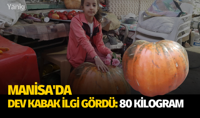 Manisa'da dev kabak ilgi gördü: 80 kilogram