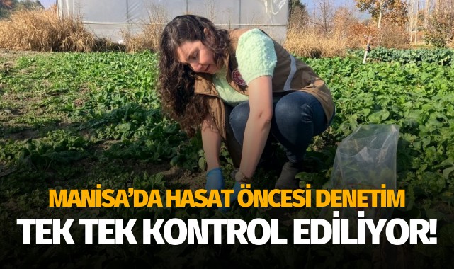 Manisa’da hasat öncesi denetim: Tek tek kontrol ediliyor!