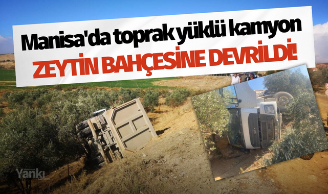 Manisa'da toprak yüklü kamyon zeytin bahçesine devrildi!