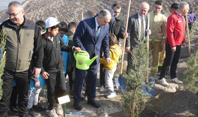 Manisa'da yanan alanlar yeniden yeşillendiriliyor