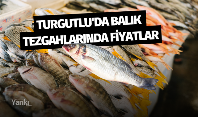 Turgutlu'da balık tezgahlarında fiyatlar