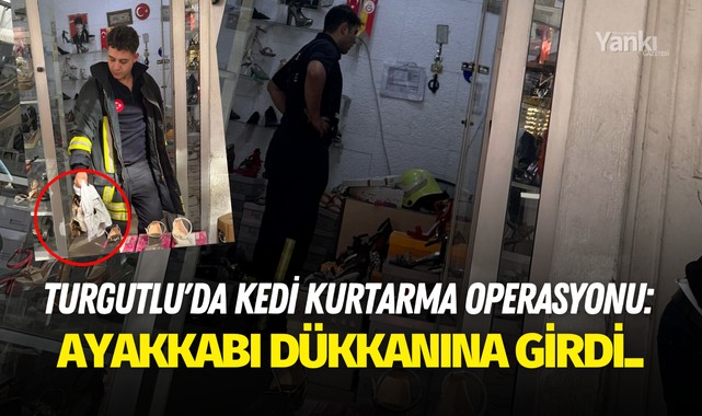 Turgutlu'da kedi kurtarma operasyonu: Ayakkabı dükkanına girdi..