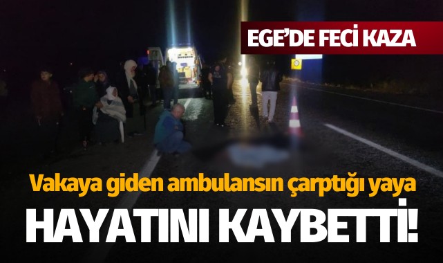 Vakaya giden ambulansın çarptığı yaya hayatını kaybetti!
