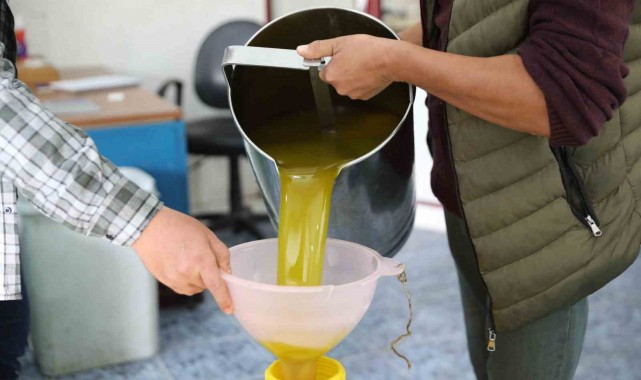Zeytinyağı sezonu açıldı