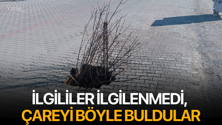 İlgililer ilgilenmedi, çareyi böyle buldular