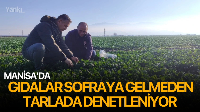 Manisa’da gıdalar sofraya gelmeden tarlada denetleniyor