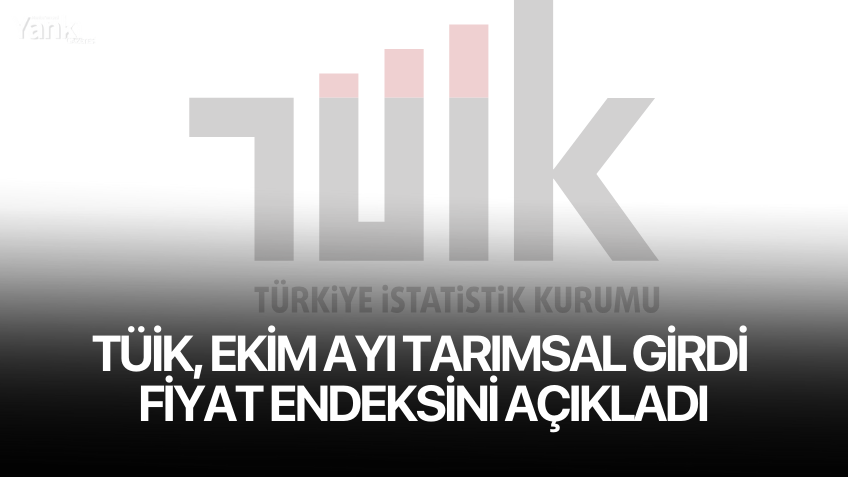 TÜİK, Ekim Ayı Tarımsal Girdi Fiyat Endeksini Açıkladı