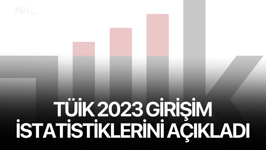 TÜİK 2023 Girişim İstatistiklerini Açıkladı