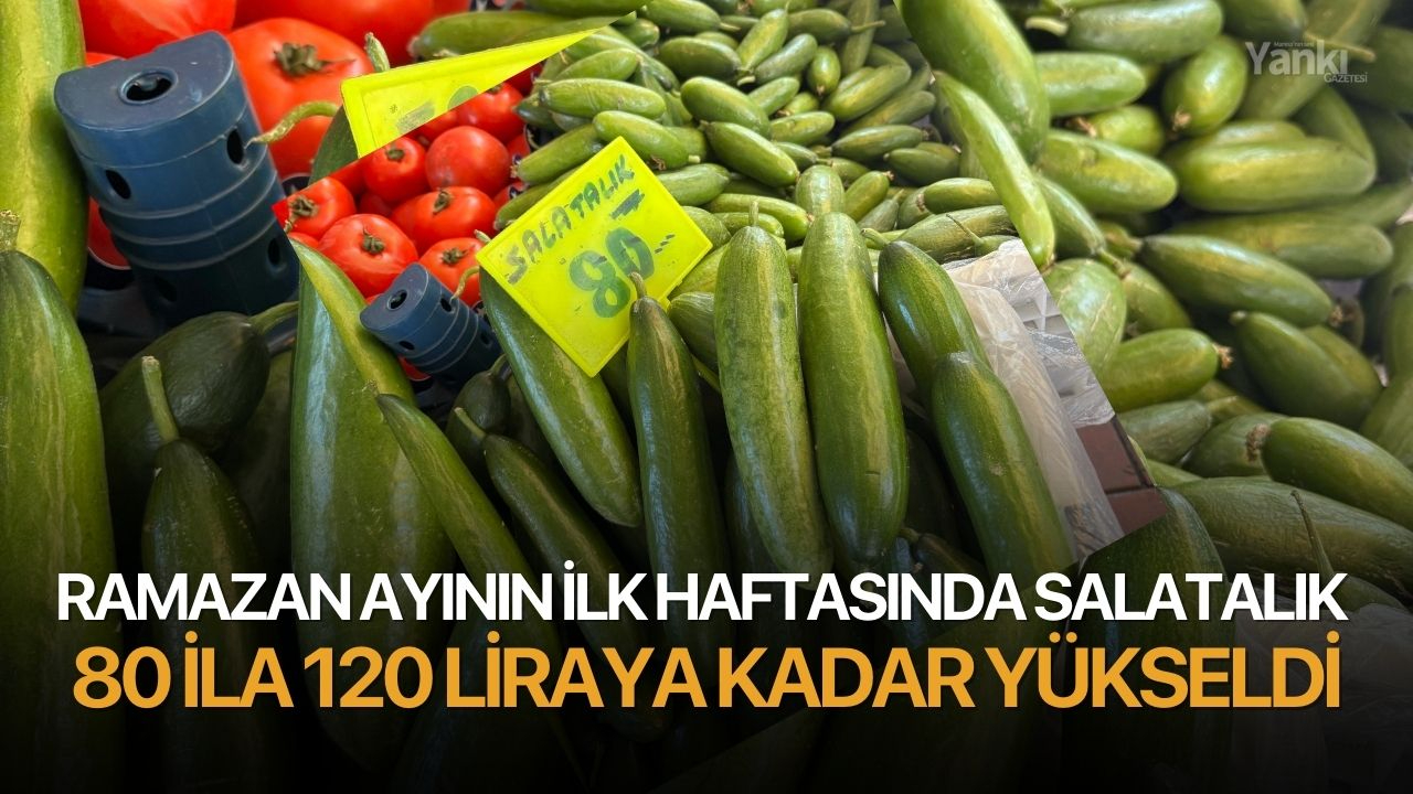 Ramazan Ayının ilk haftasında salatalık 80 ila 120 liraya kadar yükseldi