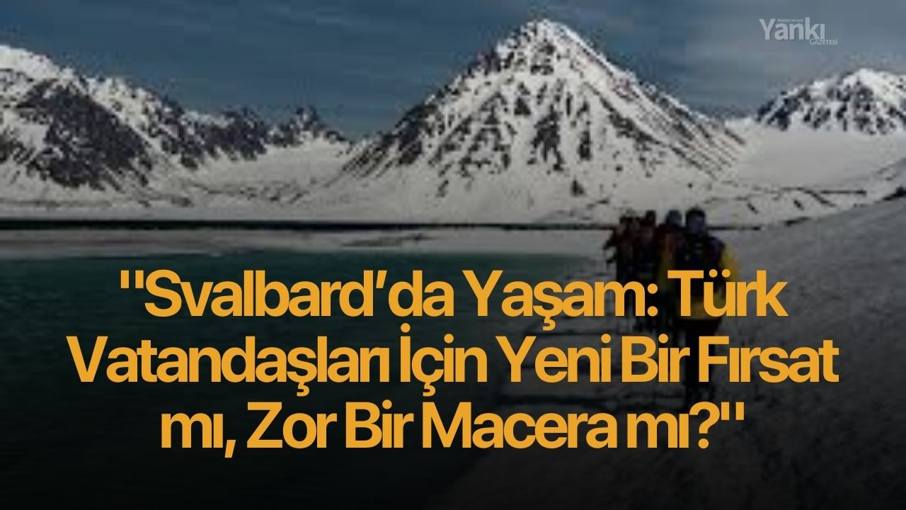 Svalbard’da Yaşam: Türk Vatandaşları İçin Yeni Bir Fırsat mı, Zor Bir Macera mı?